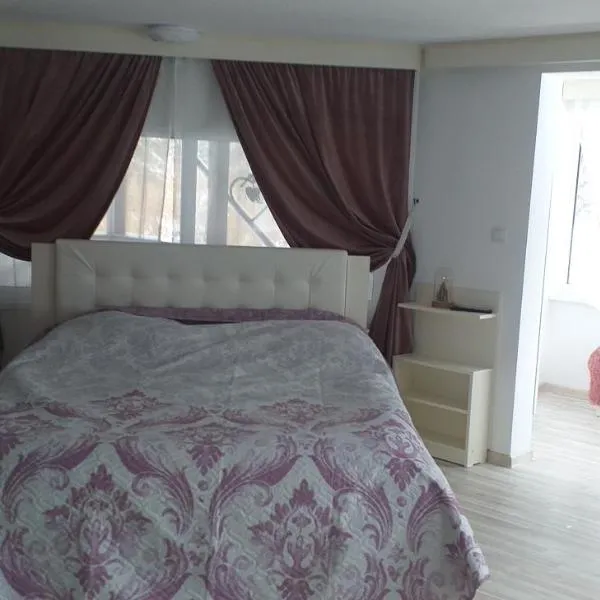 Vila Flory Voronet, Hotel in Woronetz