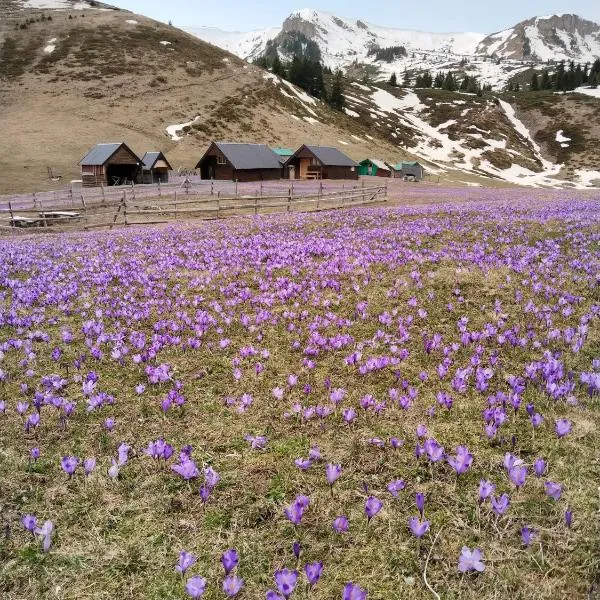 Katun Siska Medna Dolina, отель в городе Беране