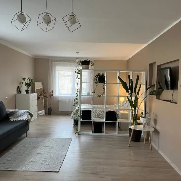 Palova Brown, hotel en Vilgāle