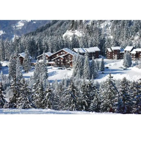 Studio au pied des pistes avec vue sur la montagne, hotel in Mieussy