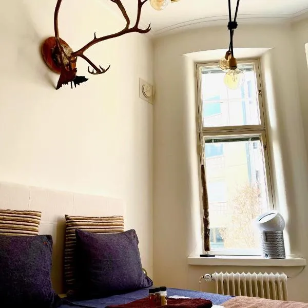 Art Nouveau - Jugend Talo in Helsinki Center Apartment, hotel v Helsinkách