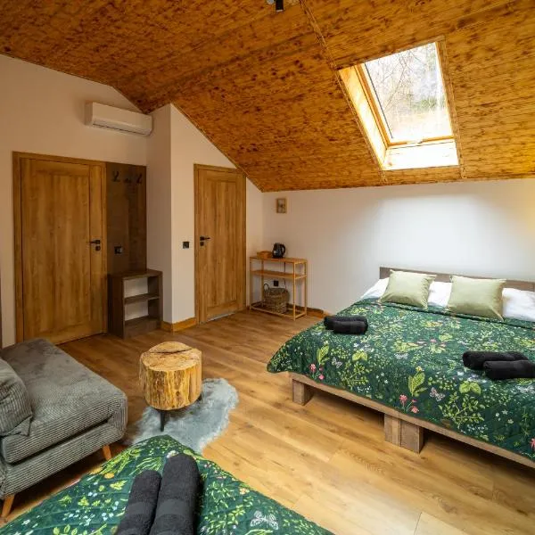 Czarni Górale、Barciceのホテル