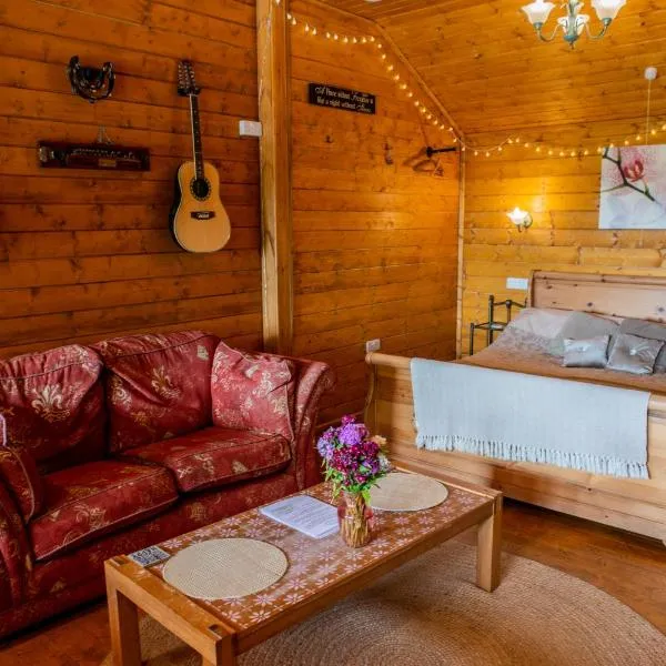 Blossom Cabin - Little log Cabin in Wales, hotel v destinaci Newtown