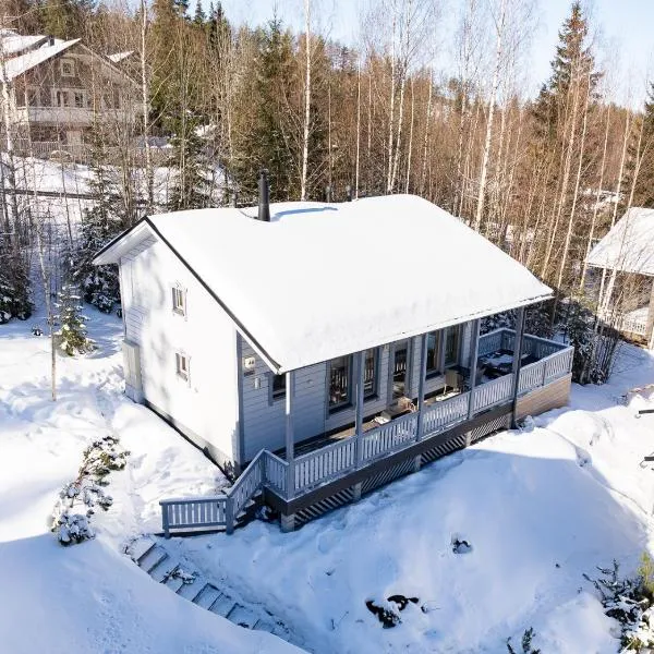 Himos Jimi 8hlö mökki porealtaalla, Ei lisäkuluja!, hotel em Jämsä