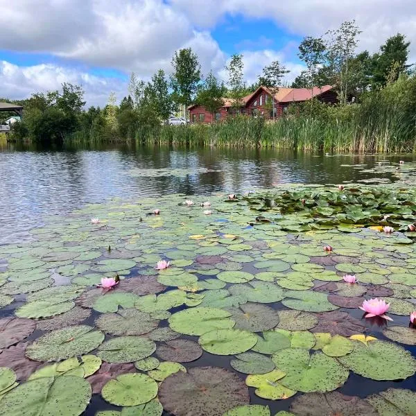 Geese Villa Log House, khách sạn ở Harrington
