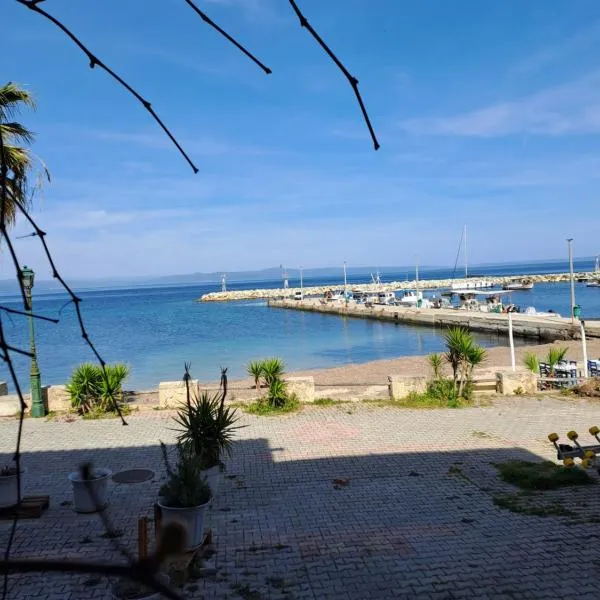 Sea View Apartment, hotel in Nea Fokea