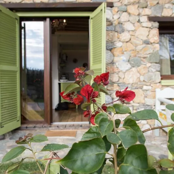 Country House Spitaki Γραφείο، فندق في فليكا