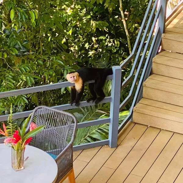 Villas en el Bosque, hotel v destinaci Ojochal