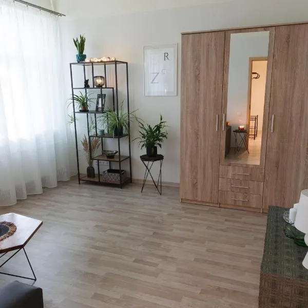 Quiet & Family Friendly, Free Parking, Near Park, hotel in Rīga