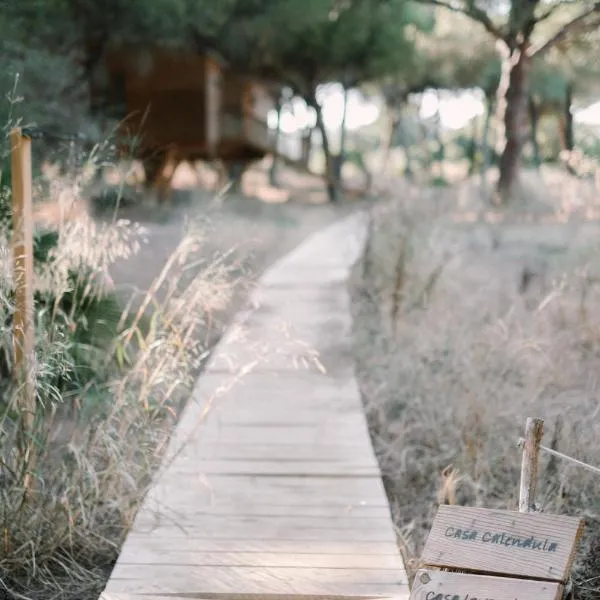 miCielo - Baumhäuser, hotel en Vejer de la Frontera