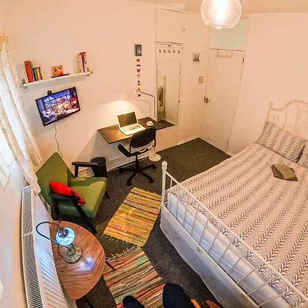 Centrally Located Comfortable Room in London, hotel in London