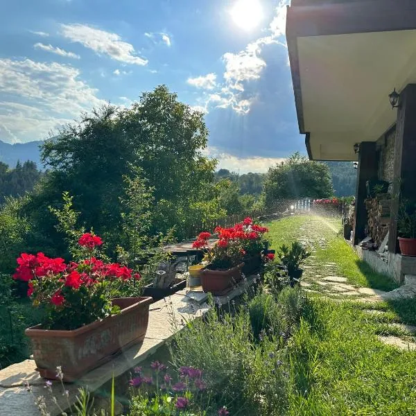 Guest House Opa, Hotel in Smoljan