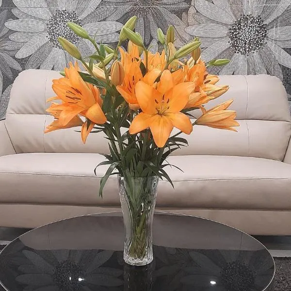 Homestay-kim mã -giang văn minh, hotel en Hanói