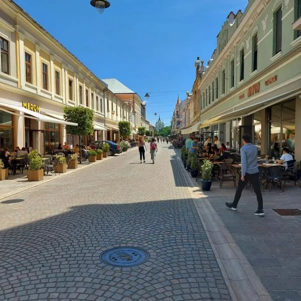 Fortuna Apartment Ultracentral, ξενοδοχείο σε Oradea