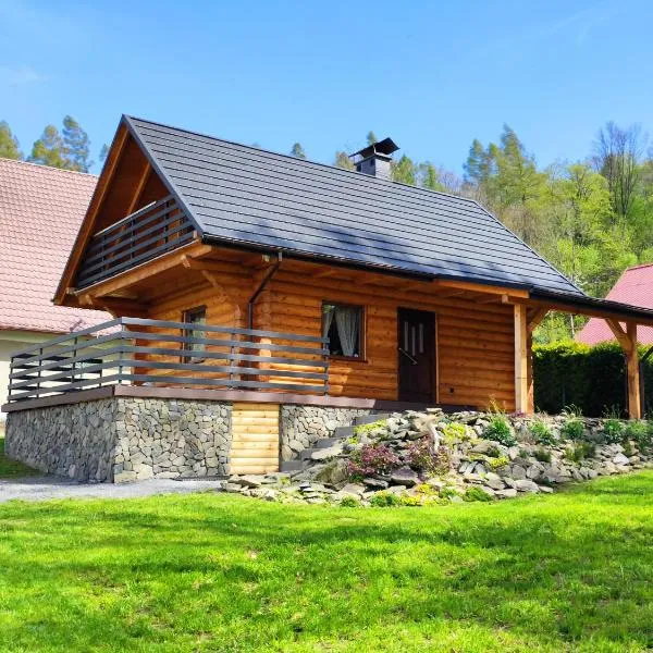 Kwietna łąka na szlaku, hotel in Jarnołtówek