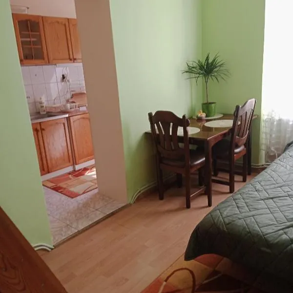 Apartament koło Dworcu, hotel v destinaci Přemyšl