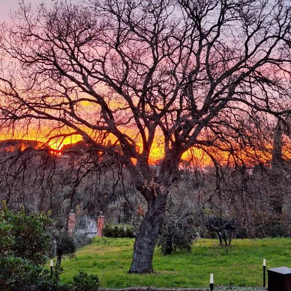 B&B Bee, hotel v destinaci Frascati