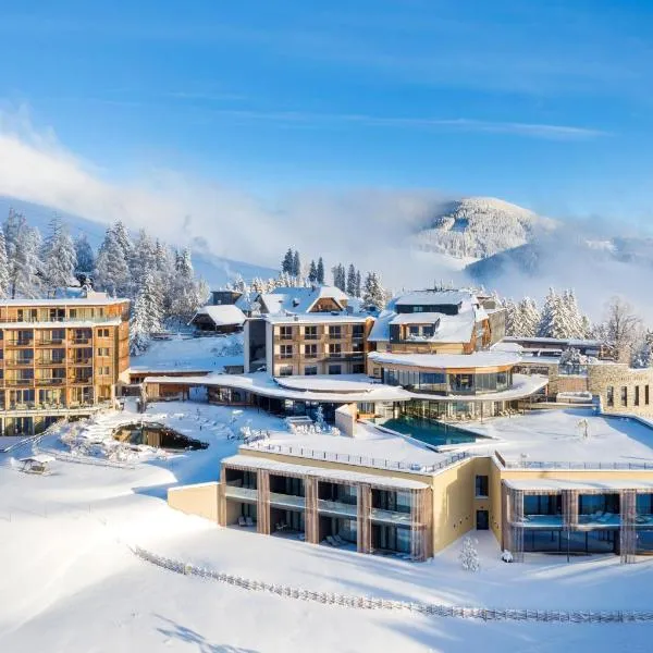 Almwellness Hotel Pierer, hotel in Fladnitz an der Teichalm