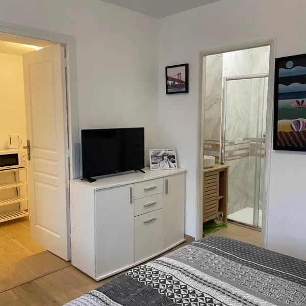 Cosy studio, lit double, hôtel au Mans