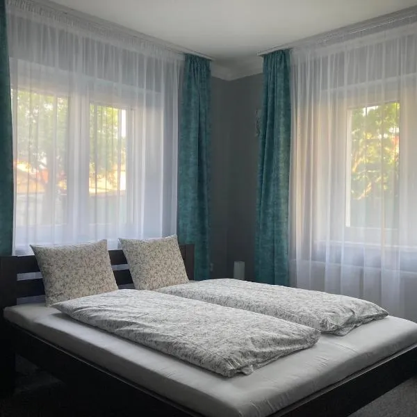 Szürke Juhar Vendégház、ソンバトヘイのホテル