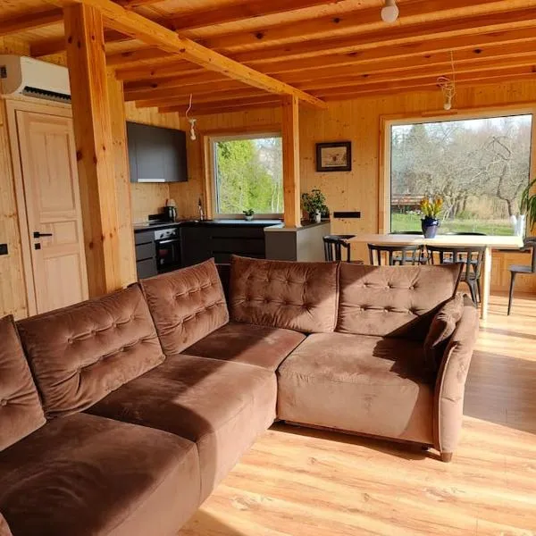 Modern family house by the lake in Zarasai, hotel in Štadviliai