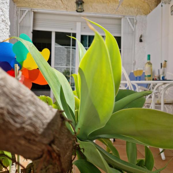 Torremolinos:Appartement avec piscine et terrasse