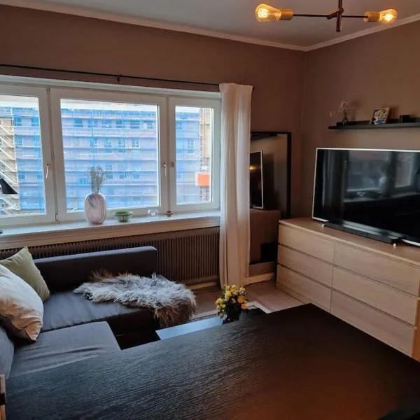 Private Apartment in Oslo, hotel v Oslu
