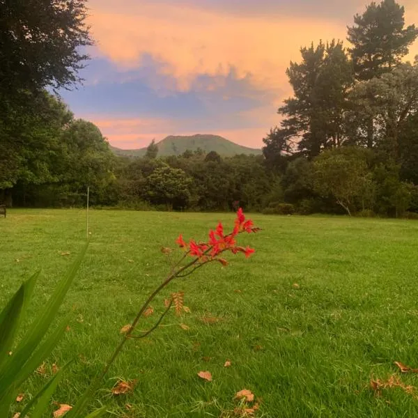 Hogsview, hotel in Hogsback