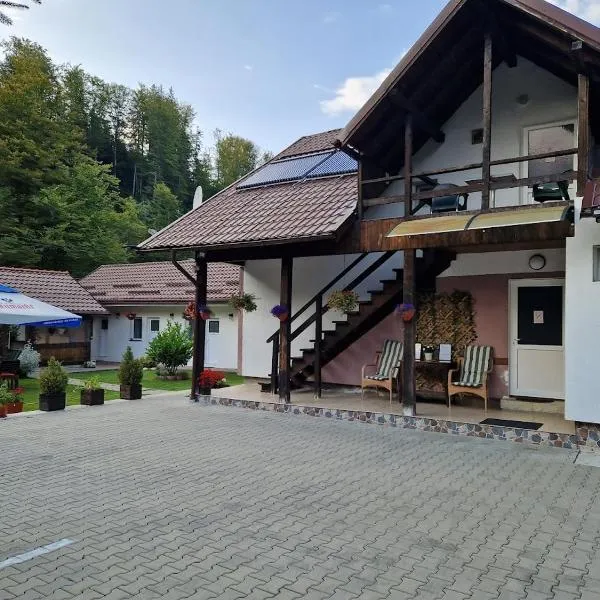 Casa Popa’s, hotel in Cîrţişoara