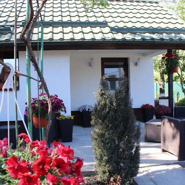 Căsuța artiștilor, hotel em Breaza