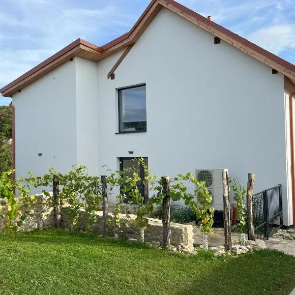 Stará Vinice Velké Žernoseky 93, hotel in Velké Žernoseky