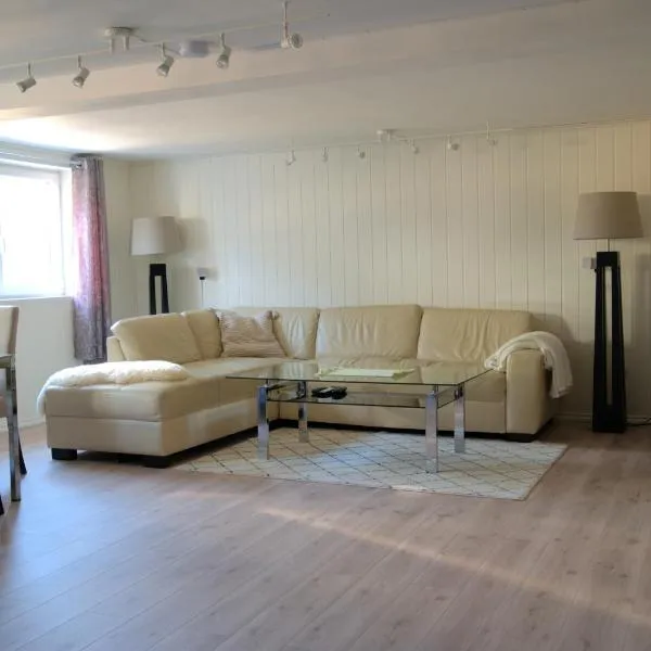 Spacious apartment, ξενοδοχείο σε Sarpsborg