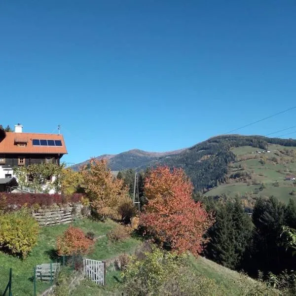 FW Schnuckel in 300a Altem Bergbauernhaus 1110m, hotel v destinaci Plessnitz