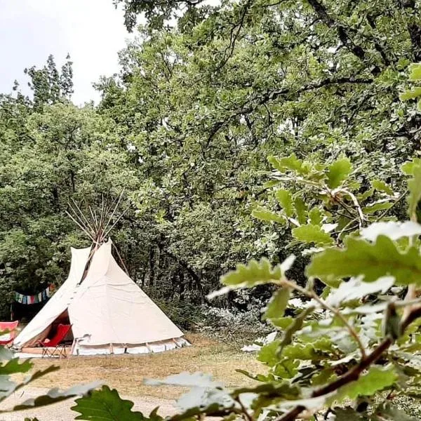 Tipizen – hotel w mieście Trans-en-Provence