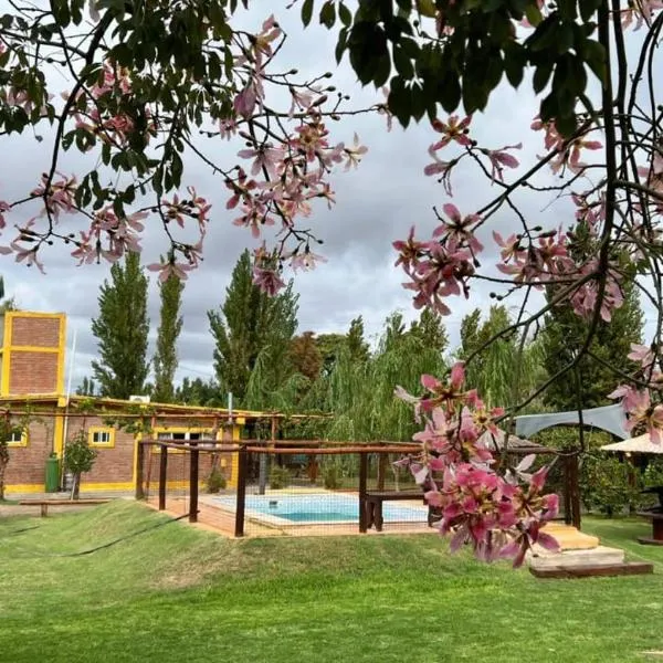 Cabañas El Sauce, hotel in Albardón