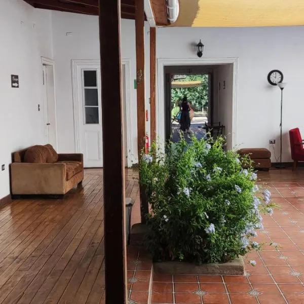 Scorpius Hostel, hotel in Vicuña