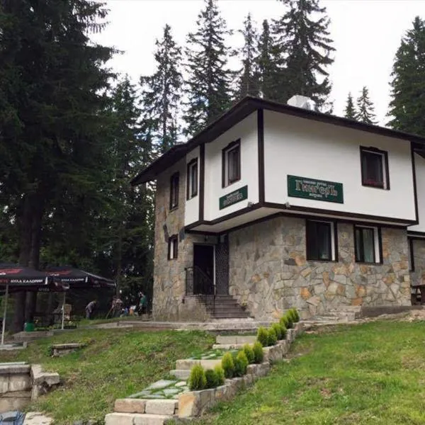Семеен хотел Гингеръ, hotel in Pamporovo