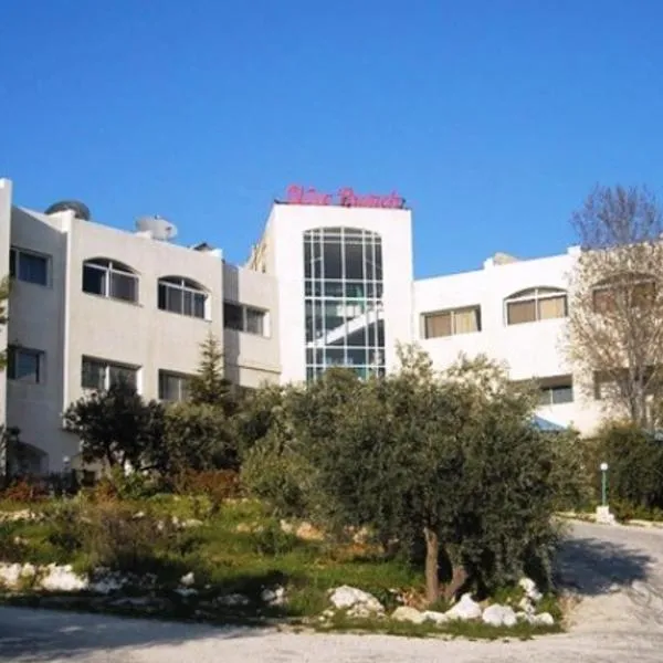 Olive Branch Hotel, hotel em Gérasa