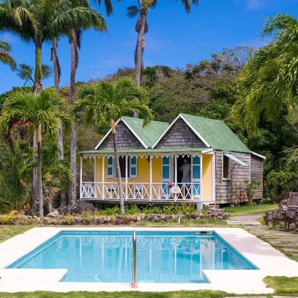 The Hermitage Inn, hotel in Nevis