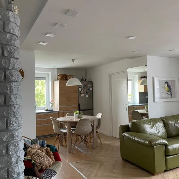 Lake apartaments，位于伊格纳利纳的酒店