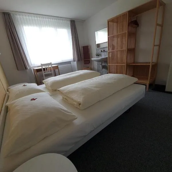 Haus St.Michael, Hotel in Dozwil