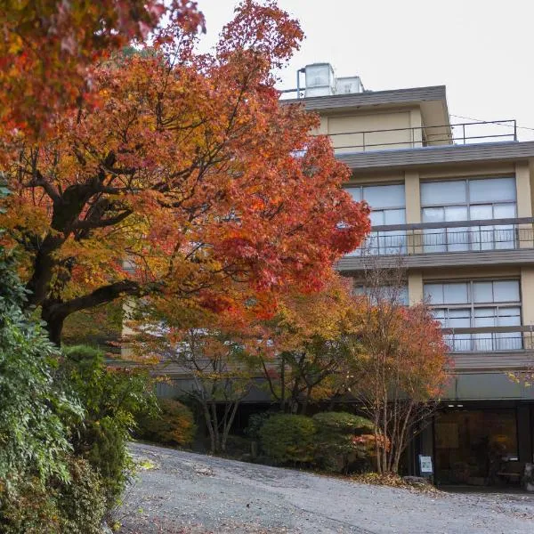 Yunokaze HAZU, отель в городе Shinshiro