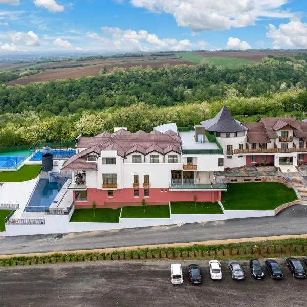 Dve Kule Resort & Winery, hotel in Bačinci