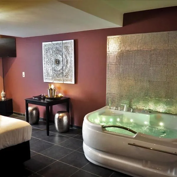 Symbiose hotel, hotel i Charleroi