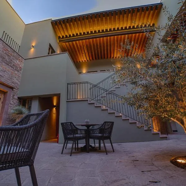 HOTEL CASA ARANZAZU SAN LUIS POTOSI，位于圣路易斯波托西的酒店