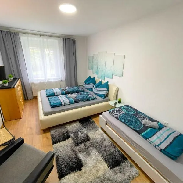 FELGRA Apartment #50, hotel in Knittelfeld