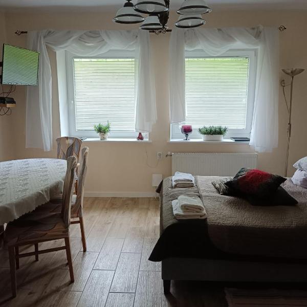 Apartament Kopernika