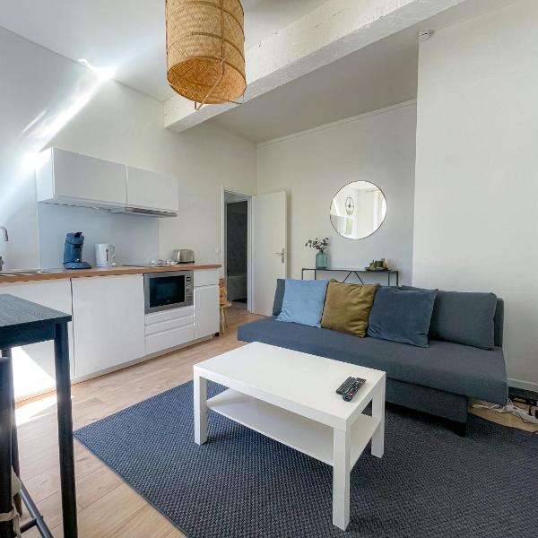 Le Bazacle - Sublime Logement en Hypercentre, Tuluza