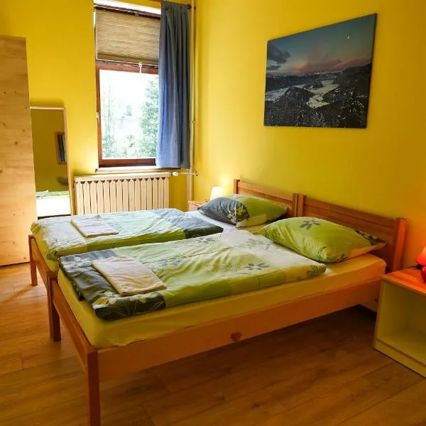 House Budkovič, hotel in Bohinj