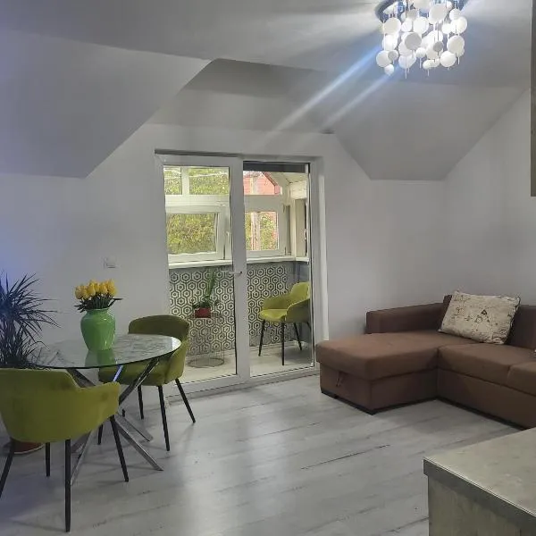 Alina apartaments, Hotel in Hermannstadt
